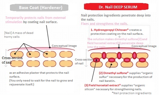 DEEP SERUM (nail cosmetics) 3.3mL｜Kowa -English-